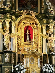 IMG-20241020-WA0010